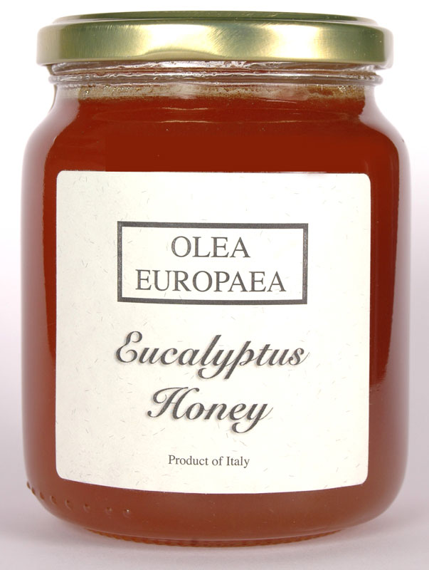 Eucalyptus Honey Buy Eucalyptus Honey Online at Olive Tree Trading India